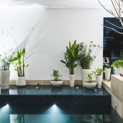 Отель Two Three Mansion Бангкок гостиничный бар