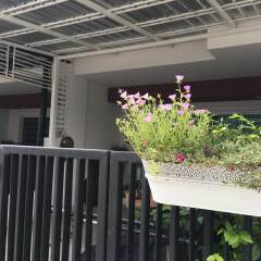 Отель Autta House Таиланд, Бангкок - отзывы, цены и фото номеров - забронировать отель Autta House онлайн балкон