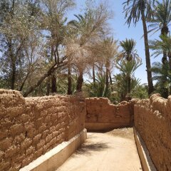 Отель Riad Dar Zaouia Марокко, Загора - отзывы, цены и фото номеров - забронировать отель Riad Dar Zaouia онлайн пляж фото 2