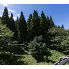 Отель Aso Resort Grandvrio Hotel Япония, Минамиогуни - отзывы, цены и фото номеров - забронировать отель Aso Resort Grandvrio Hotel онлайн балкон