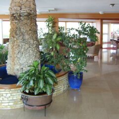 Bella Napa Bay Hotel интерьер отеля фото 3