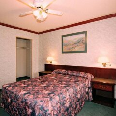 Отель Robsonstrasse Hotel & Suites Канада, Ванкувер - отзывы, цены и фото номеров - забронировать отель Robsonstrasse Hotel & Suites онлайн комната для гостей фото 3