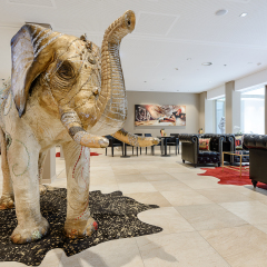 Отель Amedia Plaza Dresden Германия, Дрезден - 2 отзыва об отеле, цены и фото номеров - забронировать отель Amedia Plaza Dresden онлайн с домашними животными