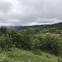 Vegke Kutuk Evleri Турция, Каракасу - отзывы, цены и фото номеров - забронировать отель Vegke Kutuk Evleri онлайн фото 2