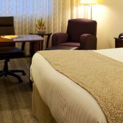Отель Mexico City Marriott Reforma Hotel Мексика, Мехико - отзывы, цены и фото номеров - забронировать отель Mexico City Marriott Reforma Hotel онлайн