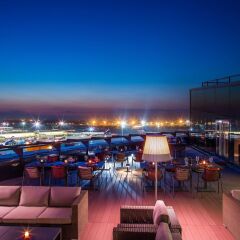 Рэдиссон Блу Шереметьево (Radisson Blu Sheremetyevo Hotel) гостиничный бар фото 3