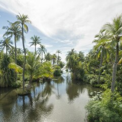 Отель Anantara Mui Ne Resort Вьетнам, Фантхьет - 8 отзывов об отеле, цены и фото номеров - забронировать отель Anantara Mui Ne Resort онлайн приотельная территория