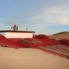 Отель Bivouac Karim Sahara Марокко, Загора - отзывы, цены и фото номеров - забронировать отель Bivouac Karim Sahara онлайн приотельная территория фото 2