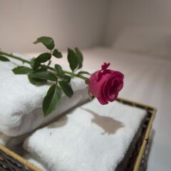 Отель Harmony Homestay Vintage of Old Quarter Ханой спа