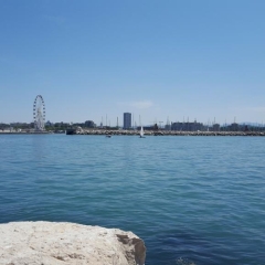 Hotel Calypso Римини пляж фото 2