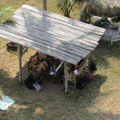 Отель Stumble Inn Eco Lodge Гана, Шама - отзывы, цены и фото номеров - забронировать отель Stumble Inn Eco Lodge онлайн с домашними животными