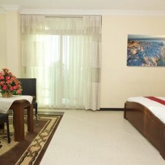 Dream View Guesthouse in Addis Ababa, Ethiopia from 147$, photos, reviews - zenhotels.com guestroom