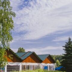 Гостиница Холидей Инн Москва Виноградово (Holiday Inn Moscow Vinogradovo) в Москве - забронировать гостиницу Холидей Инн Москва Виноградово (Holiday Inn Moscow Vinogradovo), цены и фото номеров фото 6