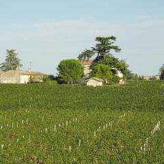 Отель Le Relais De Franc Mayne Saint Emilion Франция, Сент-Эмильон - отзывы, цены и фото номеров - забронировать отель Le Relais De Franc Mayne Saint Emilion онлайн фото 5