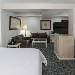 Отель Holiday Inn Suites Zona Rosa Мексика, Мехико - отзывы, цены и фото номеров - забронировать отель Holiday Inn Suites Zona Rosa онлайн фото 10