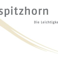 Hotel Spitzhorn парковка