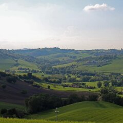 Отель Agriturismo Il Parco Di Kipo Монтефано фото 9