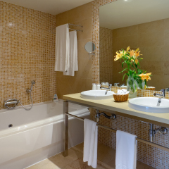 Отель Elba Carlota Beach & Convention ванная