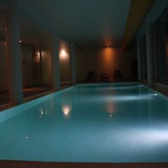 Monte Filipe Hotel & Spa с домашними животными
