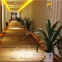 Shuian Nanguo Hotel Xiangtan China Zenhotels - 