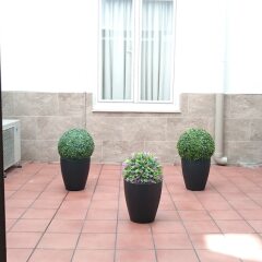 Отель Hostal El Pilar Испания, Мадрид - 1 отзыв об отеле, цены и фото номеров - забронировать отель Hostal El Pilar онлайн балкон