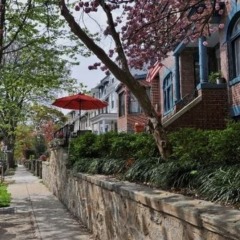 Отель Kalorama Guest House США, Вашингтон - отзывы, цены и фото номеров - забронировать отель Kalorama Guest House онлайн фото 7