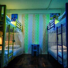 Dd Hostel Bangkok Бангкок с домашними животными