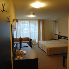 Отель Meteor Family Hotel Болгария, Чепеларе - отзывы, цены и фото номеров - забронировать отель Meteor Family Hotel онлайн фото 24