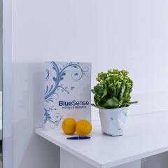 Отель Bluesense Madrid Serrano Испания, Мадрид - отзывы, цены и фото номеров - забронировать отель Bluesense Madrid Serrano онлайн балкон
