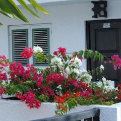 Plum Tree Club in Christ Church, Barbados from 162$, photos, reviews - zenhotels.com balcony