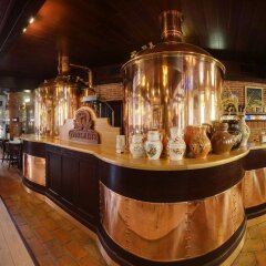 Hotel Purkmistr Пльзень гостиничный бар