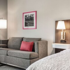 Отель Hampton Inn Brooklyn Park, MN США, Бруклин-Парк - отзывы, цены и фото номеров - забронировать отель Hampton Inn Brooklyn Park, MN онлайн комната для гостей фото 5