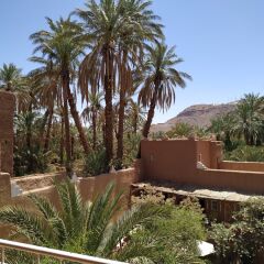 Отель Riad Dar Zaouia Марокко, Загора - отзывы, цены и фото номеров - забронировать отель Riad Dar Zaouia онлайн бассейн