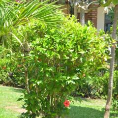 Отель Lanta Nice Beach Resort Ланта фото 4