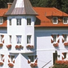 Отель Villa Turnerwirt Австрия, Зальцбург - отзывы, цены и фото номеров - забронировать отель Villa Turnerwirt онлайн приотельная территория