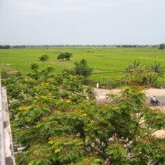 Отель Green Grass Land Villa фото 3