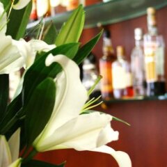 Отель Residence Hotel Piccadilly Италия, Римини - отзывы, цены и фото номеров - забронировать отель Residence Hotel Piccadilly онлайн спа