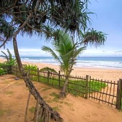 Отель Roman Beach Хиккадува фото 10