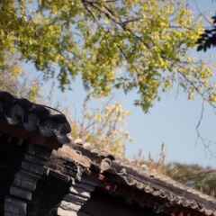 Отель Dongfang Shengda Hotel Китай, Пекин - отзывы, цены и фото номеров - забронировать отель Dongfang Shengda Hotel онлайн приотельная территория фото 2