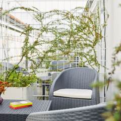 Отель Living Hotel Nürnberg by Derag Германия, Нюрнберг - 2 отзыва об отеле, цены и фото номеров - забронировать отель Living Hotel Nürnberg by Derag онлайн фото 4