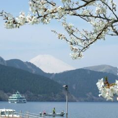 Отель The Prince Hakone Lake Ashinoko Идзунагаока приотельная территория фото 2
