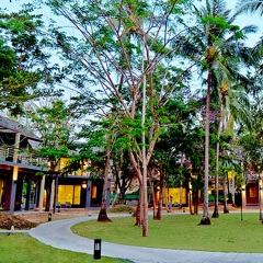 Отель Twin Lotus Koh Lanta детские мероприятия