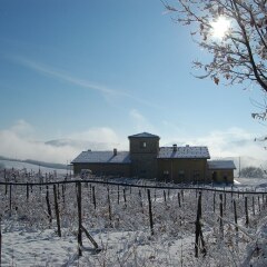Отель Agriturismo Il Filare Невьяно-дельи-Ардуини фото 4