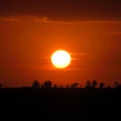 Отель Djerba Saray Тунис, Мидун - отзывы, цены и фото номеров - забронировать отель Djerba Saray онлайн фото 3
