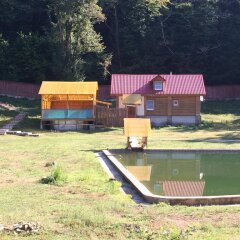 Отель Eco Chalet Honey Place Сочи фото 2