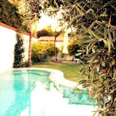 Отель Mina Otel Alacati Чешме с домашними животными