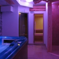 Отель Albergo Centrale Форни-ди-Сопра сауна