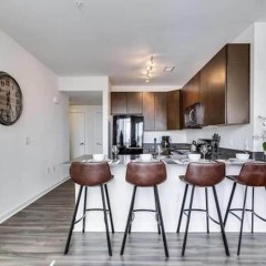 Отель Convention Center Corporate Rentals США, Вашингтон - отзывы, цены и фото номеров - забронировать отель Convention Center Corporate Rentals онлайн в номере фото 2