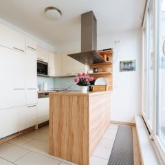 Отель Duschel Apartments Vienna Австрия, Вена - отзывы, цены и фото номеров - забронировать отель Duschel Apartments Vienna онлайн фото 21