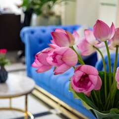 Отель Church Boutique Hotel 58 Hang Gai Вьетнам, Ханой - отзывы, цены и фото номеров - забронировать отель Church Boutique Hotel 58 Hang Gai онлайн детские мероприятия